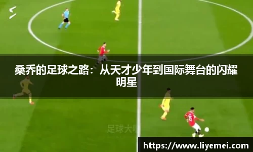 桑乔的足球之路：从天才少年到国际舞台的闪耀明星